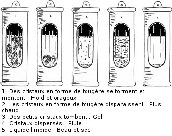 Détail de lecture des prévisions